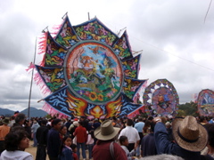 DSC01316