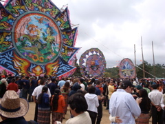 DSC01317