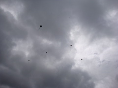 DSC01322