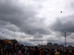 DSC01331