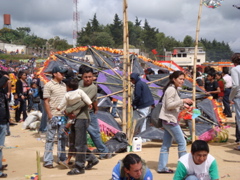 DSC01337