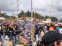 DSC01339