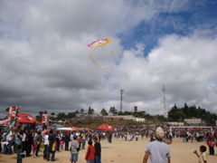 DSC01347