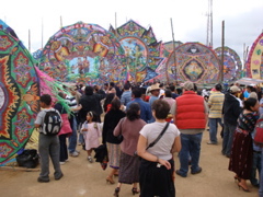 DSC01353