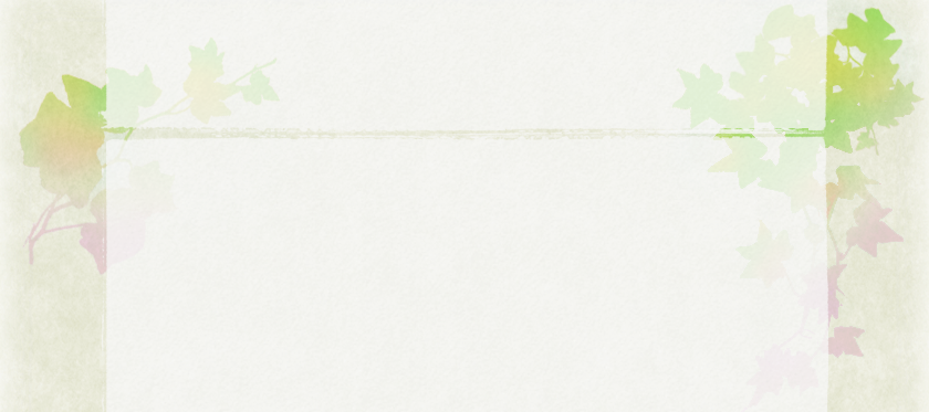 Flaminia Villagran Doctora