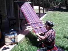 weaver
