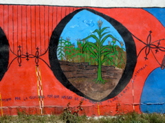DSC00575.JPG
