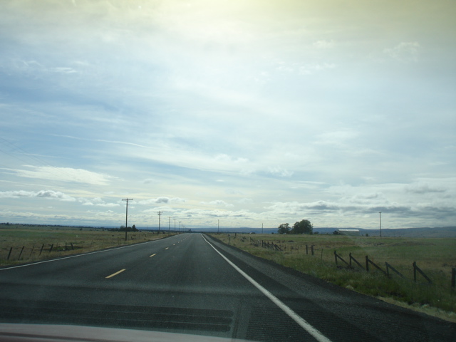 DSC00773.JPG