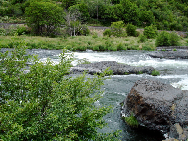 DSC00802.JPG