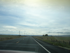 DSC00773.JPG
