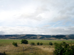 DSC00774.JPG