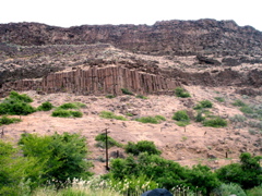 DSC00791.JPG