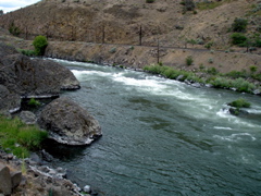 DSC00792.JPG