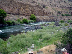 DSC00794.JPG