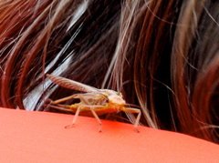 DSC00795.JPG