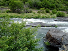 DSC00802.JPG