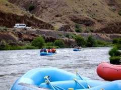 DSC00803.JPG