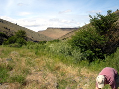DSC00777.JPG