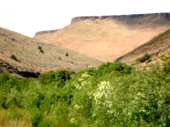DSC00778.JPG