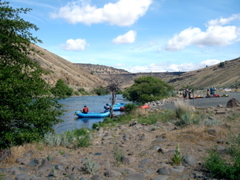 DSC00779.JPG