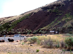 DSC00780.JPG