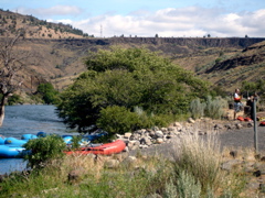 DSC00781.JPG