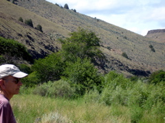 DSC00782.JPG