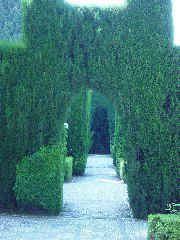 In Generalife gardens
