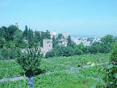 Alhambra castle from Generalife gardens