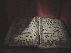 Hand painted on velum (leather).